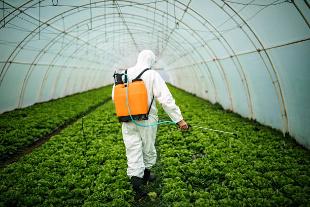 Best Mosquito Control Services  in University Park, MD