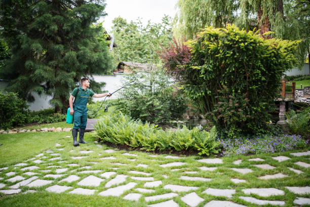 Best Commercial Pest Control Services  in University Park, MD
