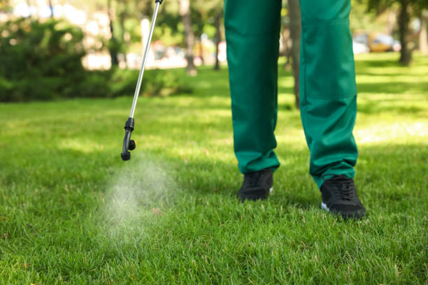 Best Pest Control Near Me  in University Park, MD