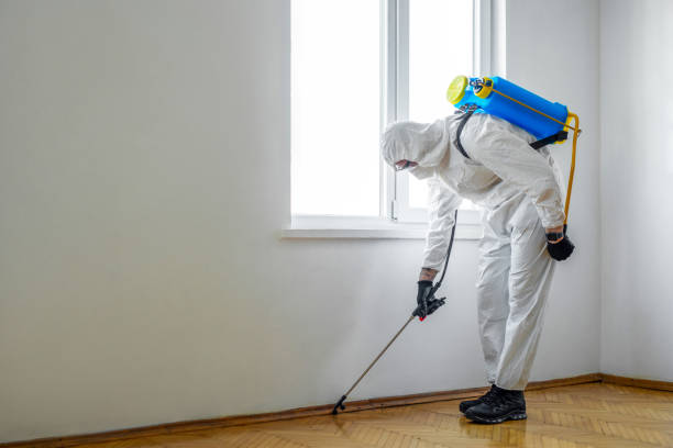 Best Pest Inspection Near Me  in University Park, MD