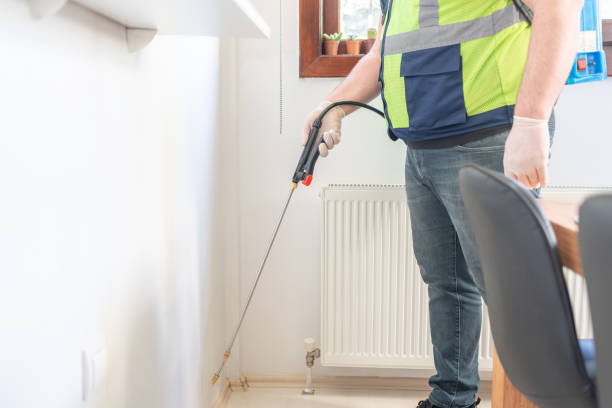 Best Wasp Removal Services  in University Park, MD